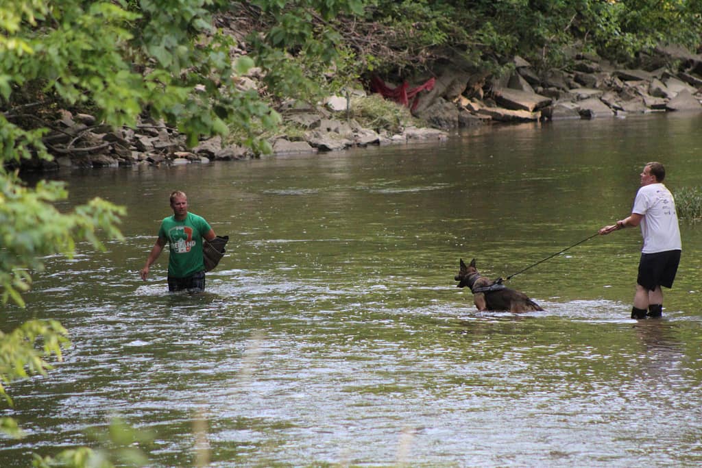 All images are copyright protected and cannot be used without explicit written permission from CIK9.org